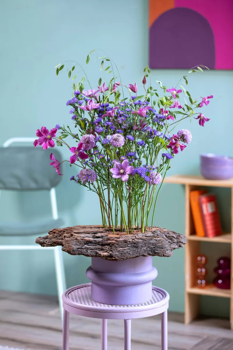 Clematis Amazing® Tokyo nominated! | Marginpar